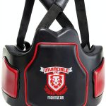 Invincible Chest Guard Adjustable Body Shield-0