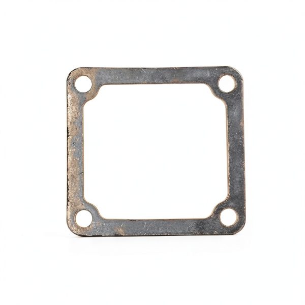 Intake Manifold Gasket Vrytos Graphite for Dodge-5